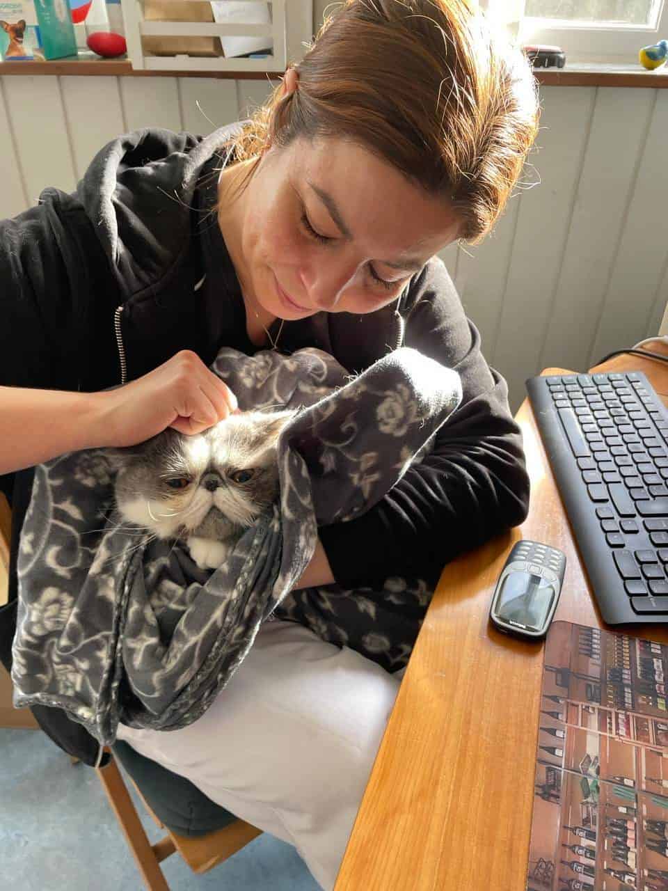 Vi giver din kat et kærligt sundhedseftersyn. Kontakt os i dag.